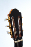 Gitarre Zeder / Palisander, Detail